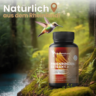 Pinienrindenextrakt Kapseln mit natürlichem Vitamin C